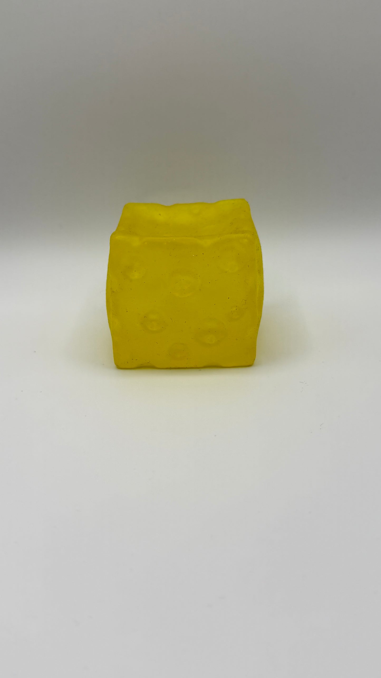 Coconut Oil Cheese Squishy