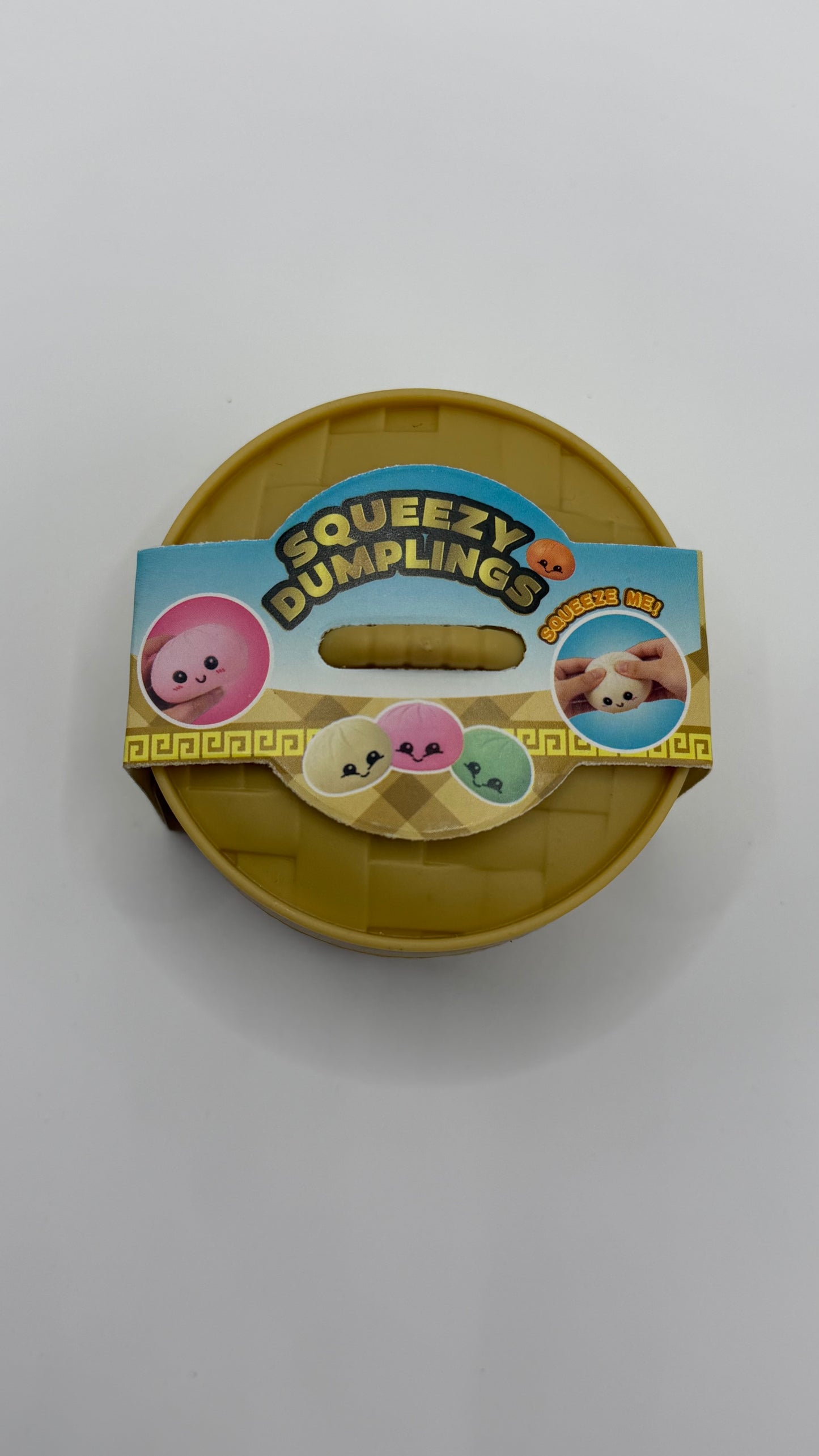 Mini Mystery Dumpling Squishy