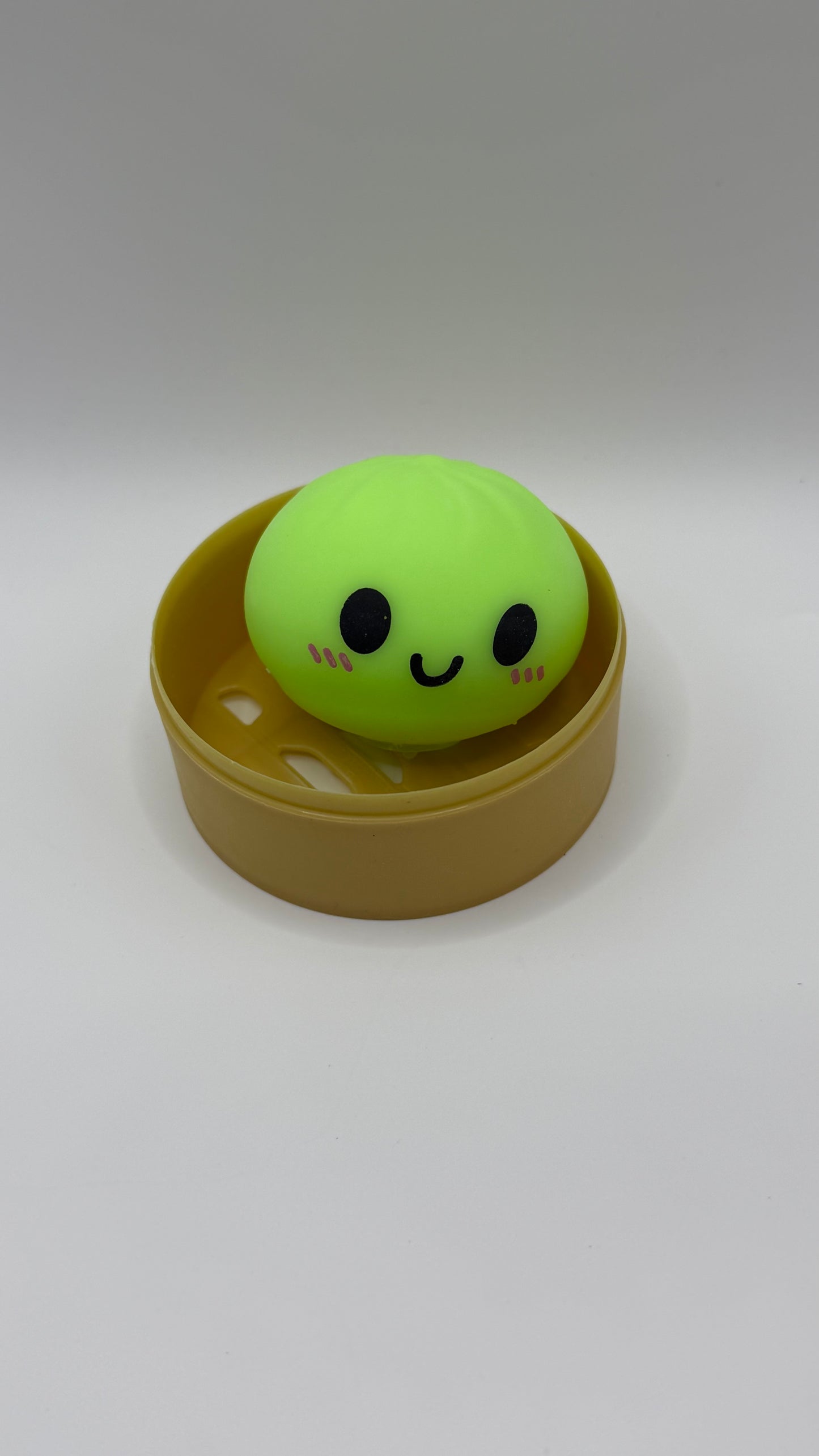 Mini Mystery Dumpling Squishy